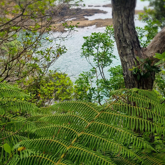 Fern and Koru Necklace Inspired by Northland | Handmade NZ Jewellery
