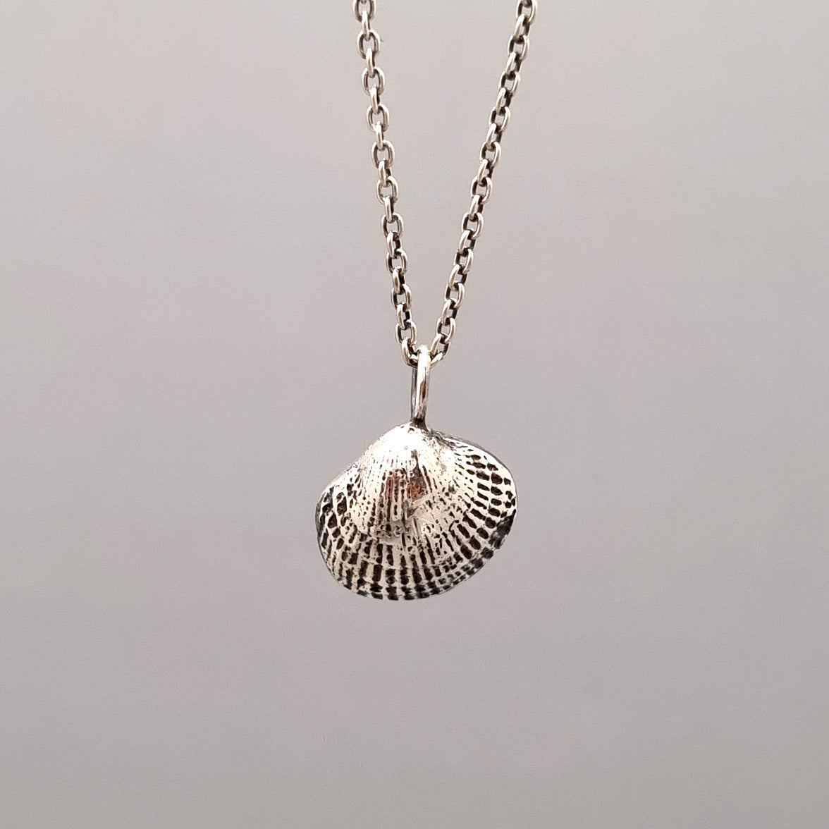 Cockle shell necklace- Sterling Silver