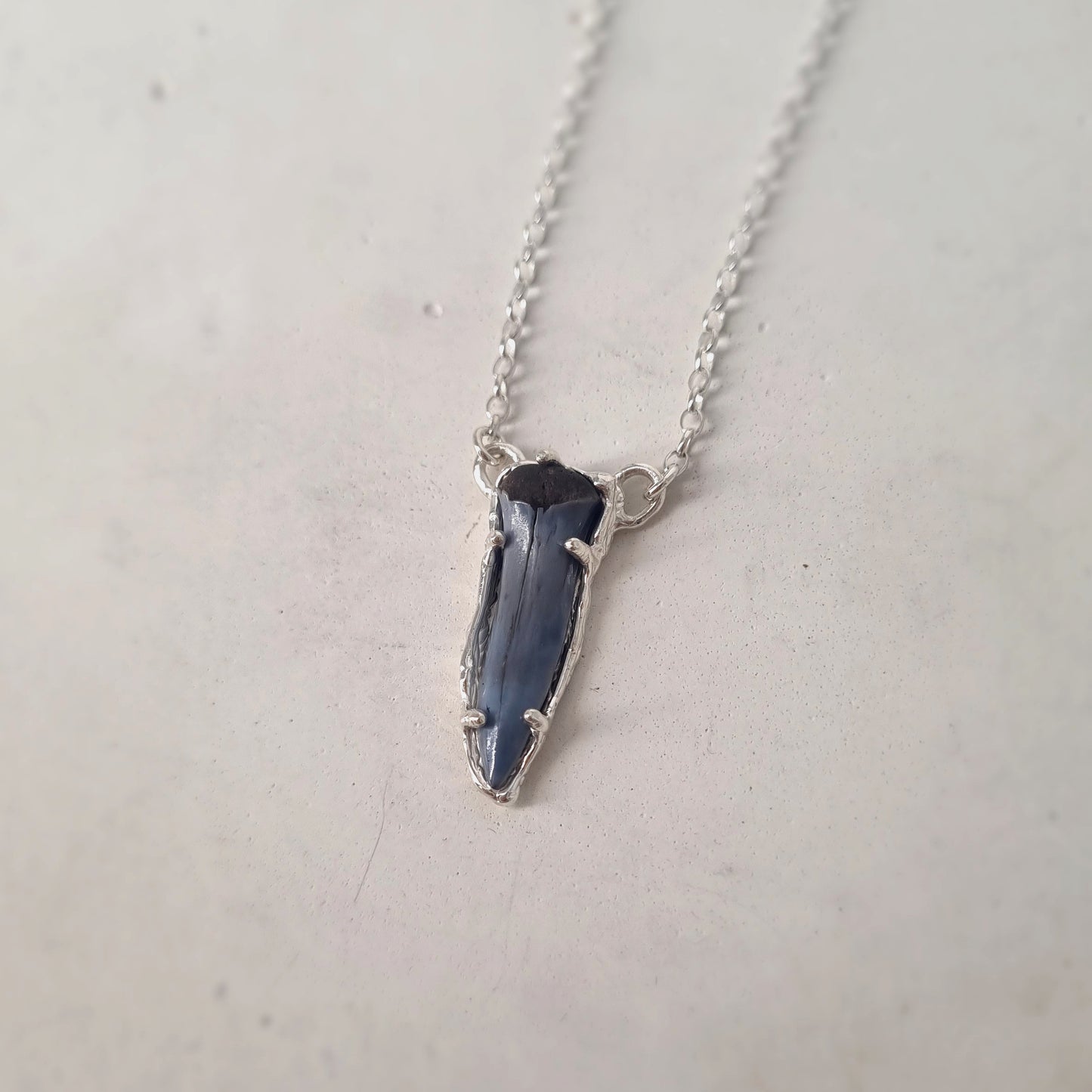 Fossilised Sharktooth Sterling Silver Necklace