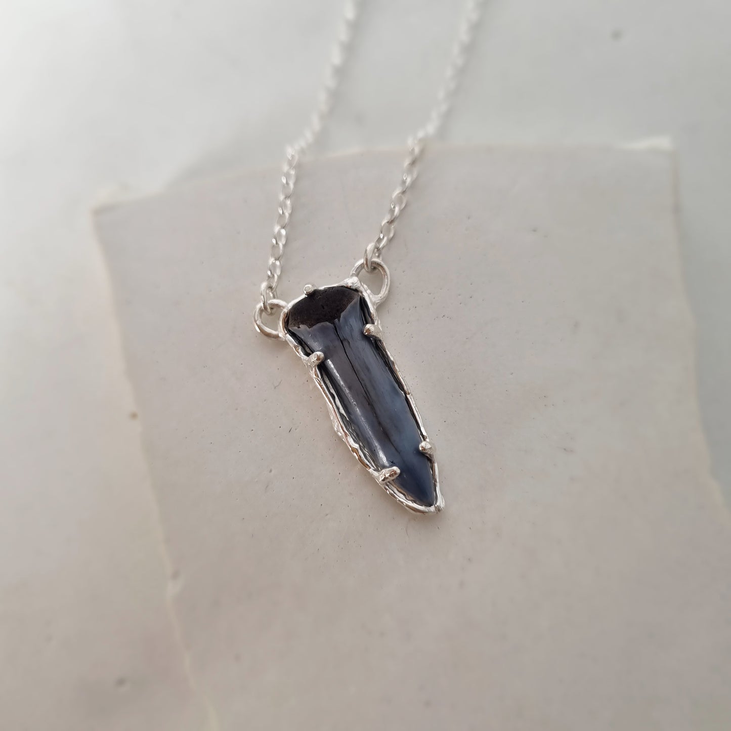 Fossilised Sharktooth Sterling Silver Necklace