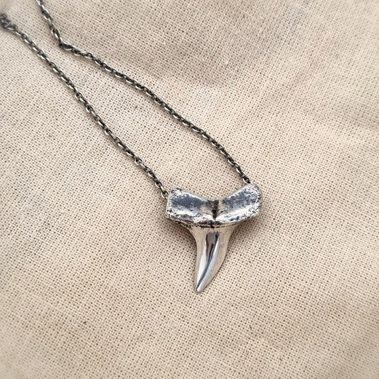 Shark tooth Necklace- Sterling Silver